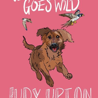 From the pen of Judy Upton, Brownlow, Britain's foremost, fictional pet detective. Available for interviews, voice-over work and TV dramas. *AI free*
