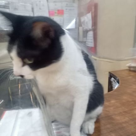 mai_soms's profile picture. I stand for the TRUTH. 💜