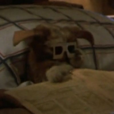 jaycampesinos's profile picture. he/him
lc!4lyf