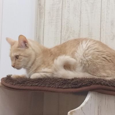 iurairaefl26's profile picture. iurさんに急に狂ってしまったアカウント|無言フォロー失礼致します🙇‍♀️