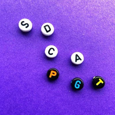 SDCAPGT's profile picture. Loughborough University's School of Design and Creative Arts Post Graduate Taught Programmes