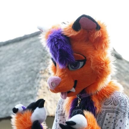 FoxinickT's profile picture. eek