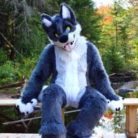 Mahikan OwO c'est quoi ça? 🔜 CanFu/Furrydelphia (@sneetys) 's Twitter Profile Photo Mahikan OwO c'est quoi ça? 🔜 CanFu/Furrydelphia (@sneetys) 's Twitter Profile Photo