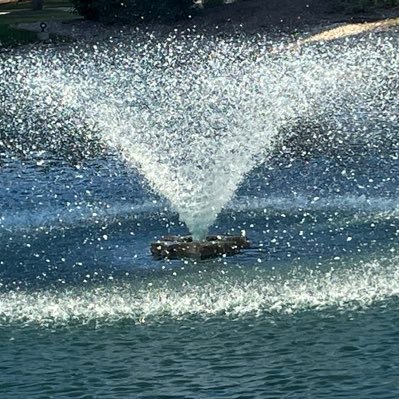 KanimozhiMV's profile picture. Dravidian Stock