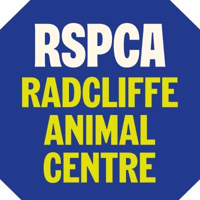 RSPCA Radcliffe Animal Centre, 32 Nottingham Road, Radcliffe-on-Trent, Nottingham, NG12 2DW. Viewing times 12.30-3.30 every day.