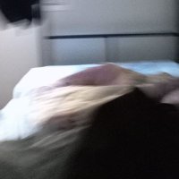 serko (@serkan_hdf) 's Twitter Profile