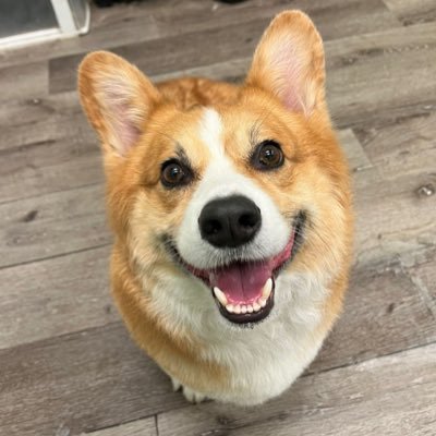 anoiff7's profile picture. 