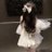 BESTY_519
