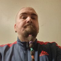 Taurvette🏴🏳️🌈🏳️⚧️🇵🇸 (@wowtreehugger) 's Twitter Profile