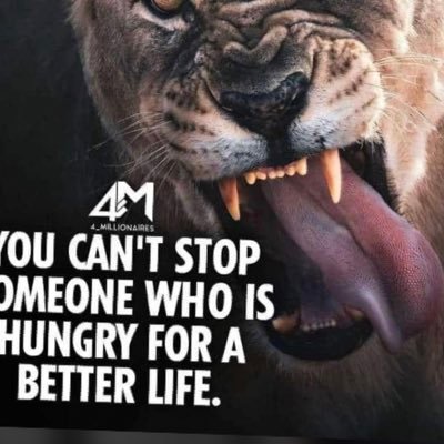 Xaverio4's profile picture. 