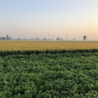 Satwind5577's profile picture. 
