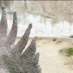 longblackdrink's profile picture. 