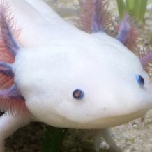 longblackpress's profile picture. 