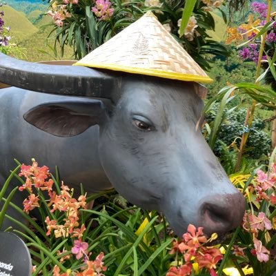 neogarrr's profile picture. Core team member at @ZkNoid, crypto enthusiast¿