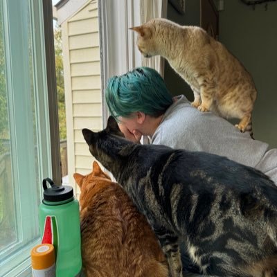SURPRISE, SHE LIKES CATS! All opinions my own. Writing and politics and other nonsense. She/Her/Hers. Black Lives Matter. 🇵🇸