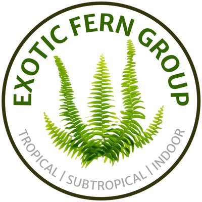 The Exotic Fern Group is a community for enthusiasts of tropical, subtropical and indoor ferns.