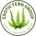Exotic Fern Group (@exoticferngroup) Twitter profile photo Exotic Fern Group (@exoticferngroup) Twitter profile photo