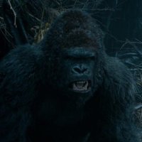 Jacob Vaughn (@iamjacobvaughn) 's Twitter Profile