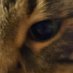 Kathleen Carroll (@kathlee59758616) Twitter profile photo Kathleen Carroll (@kathlee59758616) Twitter profile photo