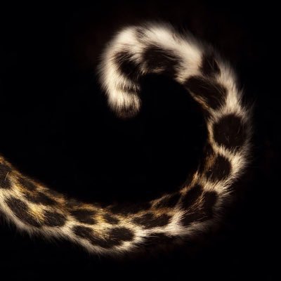 Amallhj1's profile picture. hope