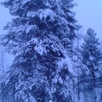 Lapin mummeli🇫🇮☮️🇺🇦 (@eja_wiese) 's Twitter Profile