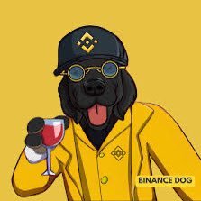 binance_dogbsc's profile picture. Ca: 0x1c45366641014069114c78962bdc371f534bc81c

The first memecoin on Binance to reach 1 billion $$$
Binancedog