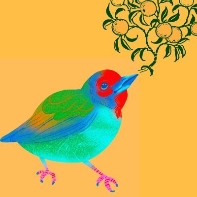 @kawase3_