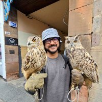 Dr. Pranav Seth (PhD) (@thebuddhabird93) 's Twitter Profile Photo Dr. Pranav Seth (PhD) (@thebuddhabird93) 's Twitter Profile Photo
