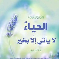 تيم عامر (@amr_ttm) 's Twitter Profile