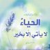 تيم عامر (@amr_ttm) Twitter profile photo تيم عامر (@amr_ttm) Twitter profile photo