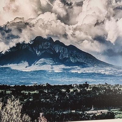 Prosper Higiro Profile