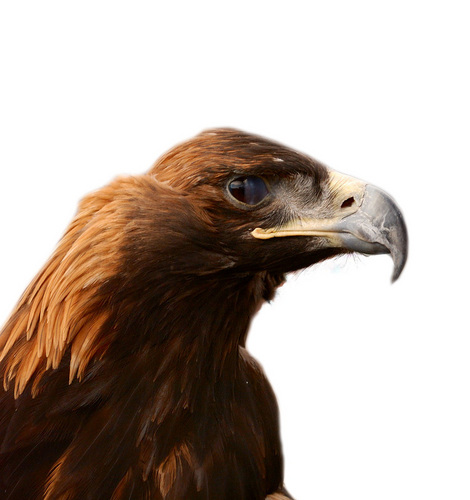 Gordbly's profile picture. Интересы: бизнес в интернете, новые технологии. Взаимно читаю не ботов.