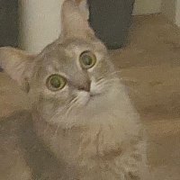 LaR (@larenvrai) 's Twitter Profile
