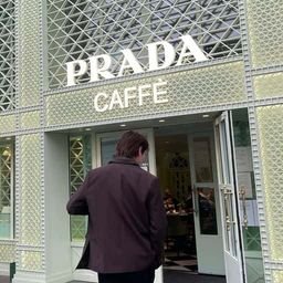 TorsesmUam's profile picture. 