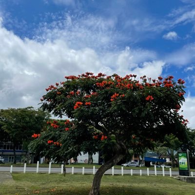 Gabriel31166732's profile picture. 