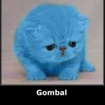 AnCasillado's profile picture. 