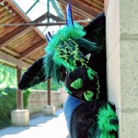 LupusTaurusAD🔜2Dance (@lupus_taurus) 's Twitter Profile Photo LupusTaurusAD🔜2Dance (@lupus_taurus) 's Twitter Profile Photo