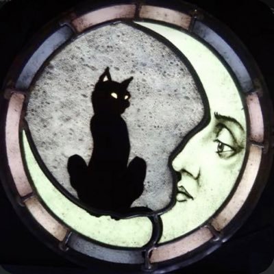 meepmopbeepboop's profile picture. edtwt, in sh recovery kinda? bmi 16.2 ♡