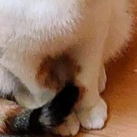 KtoE2世 (@ktoe_gen2) 's Twitter Profile