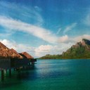 Beth Hoffman - @BethHoffman00 - Twitter