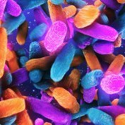 Center for Microbial Medicine at CHOP (@centermicromed) 's Twitter Profile Photo Center for Microbial Medicine at CHOP (@centermicromed) 's Twitter Profile Photo