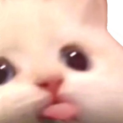 ニオンさんのプロフィール画像