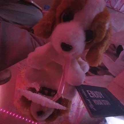 drug sniffing dog (acab) / she/her it/its /
Jungle Jungle - 1989 to 1999 Samplepack /
19 / MDNI /
I LOVE MY WIFE @m_arf_an !!!! DONT FLIRT WITH ME SH/EDTWT DNI