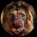 Jason Morales (@jasonmoral4547) Twitter profile photo Jason Morales (@jasonmoral4547) Twitter profile photo
