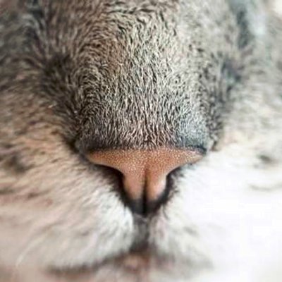 alquicira68533's profile picture. 