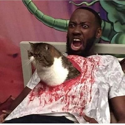 Ashtonsmith908's profile picture. Solo voy de paso