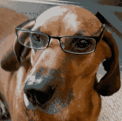 billroeding's profile picture. God grant me the serenity to accept the fact that technology will change and the courage not to buy at every change