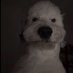 9t (@nolighterfluid) Twitter profile photo 9t (@nolighterfluid) Twitter profile photo