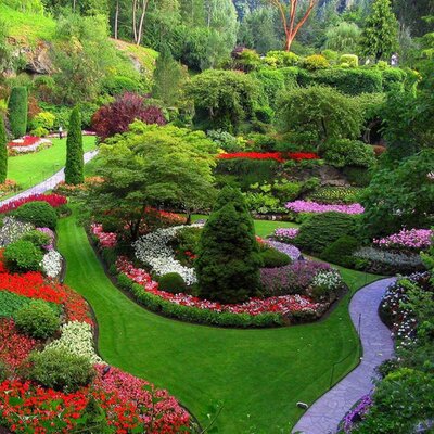 Sunny Gardens® (@SunnyGardens) / X