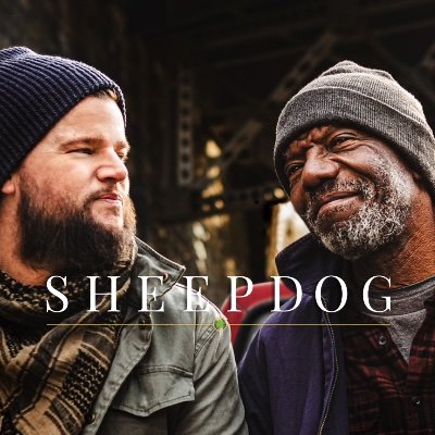 Sheepdog The Film Profile